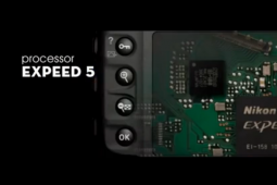 �῵D5����Ƭ��¶