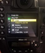 ῵¿콢D5Ϣ