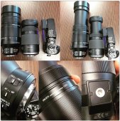 100-400mmͼ͡ɶʦӰѵѧУ