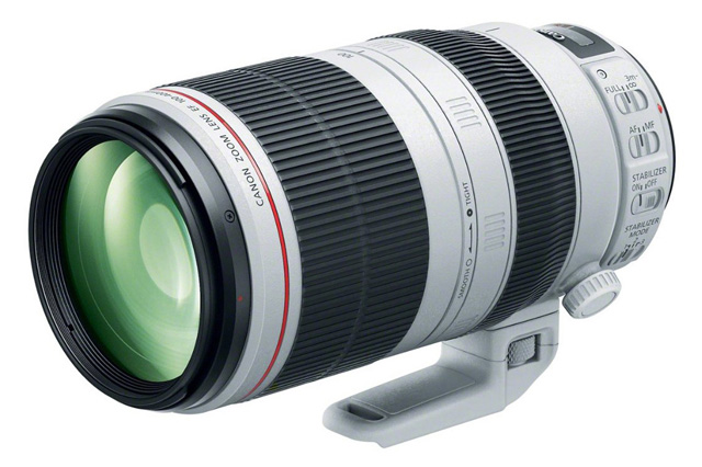 EF 200-600mm f/4.5-5.6 ISͷ ɶʦӰѵѧУ