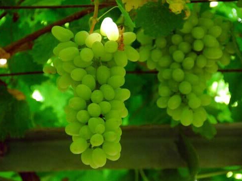 �½�˫���Լ���Ӱ�� �ɶ�����ʦ��Ӱ��ѵѧУ