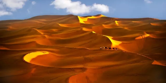 �½�˫���Լ���Ӱ�� �ɶ�����ʦ��Ӱ��ѵѧУ