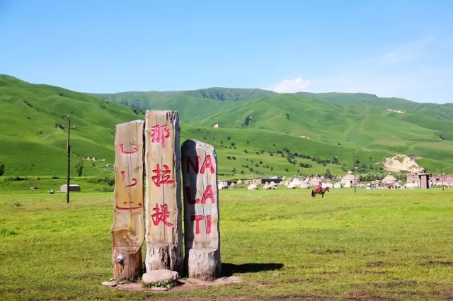 �½�˫���Լ���Ӱ�� �ɶ�����ʦ��Ӱ��ѵѧУ