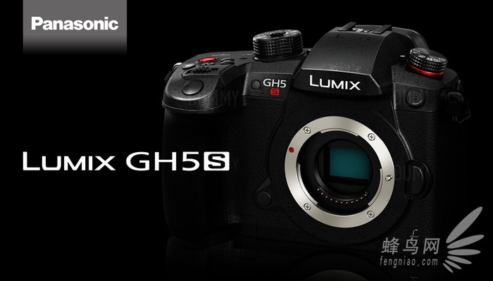 GH5s ɶʦӰѵѧУ