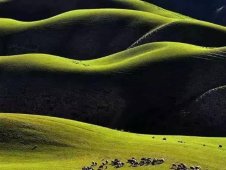  ĳ˹ĿƬɶʦӰѵѧУ 