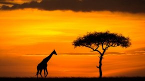  �������Ч�������ļ�Ӱ��Ƭ���ɶ�����ʦ��Ӱ��ѵ�̻��� 