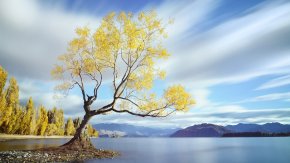  �ڷ羰��Ӱ������Щ��ʵ������Ч�����˾����ɶ���Ӱ��ѵ�������� 